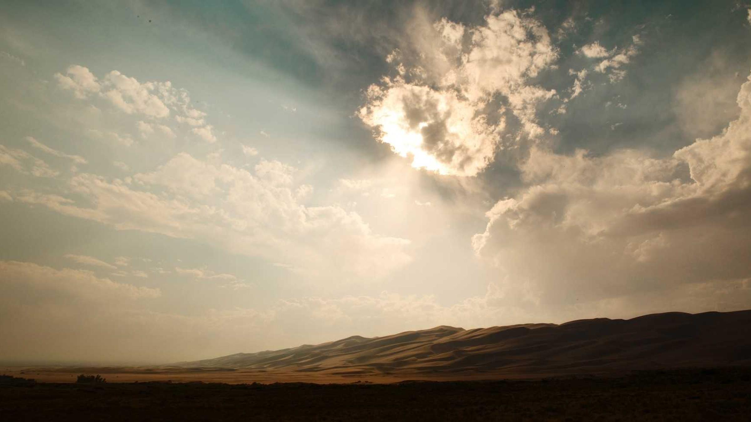 عرض وتنزيل الفواتير